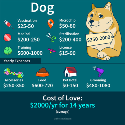 The Cost of Love - The Simple Sum Singapore