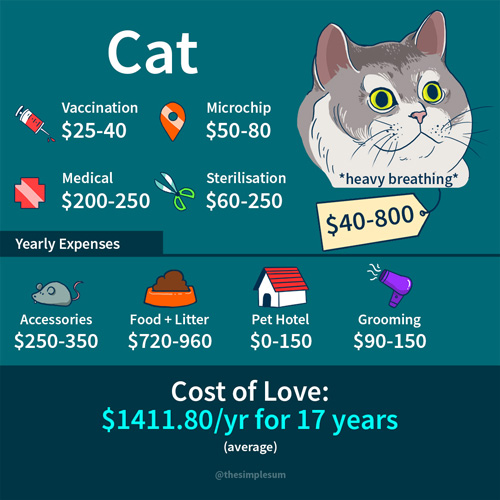 The Cost of Love - The Simple Sum Singapore